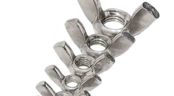 Customized 201 304 stainless steel claw nut butterfly nut ingot nut