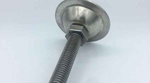 Supply 304 stainless steel foot cup screw anchor bolt adjusting foot cup 304 fastener