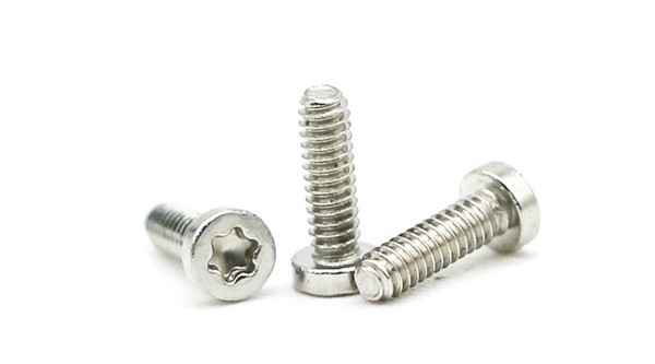 304 316 Stainless Steel Torx Cylinder Head Anti-Remove Screws