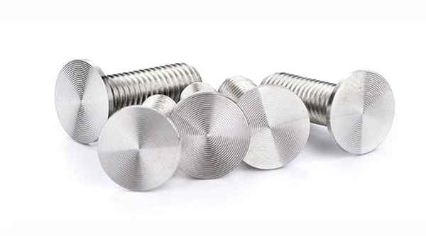 Free sample 304 stainless steel large flat head screw