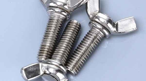 Customized 304 stainless steel butterfly screw horn bolt ingot hand screw 3/8